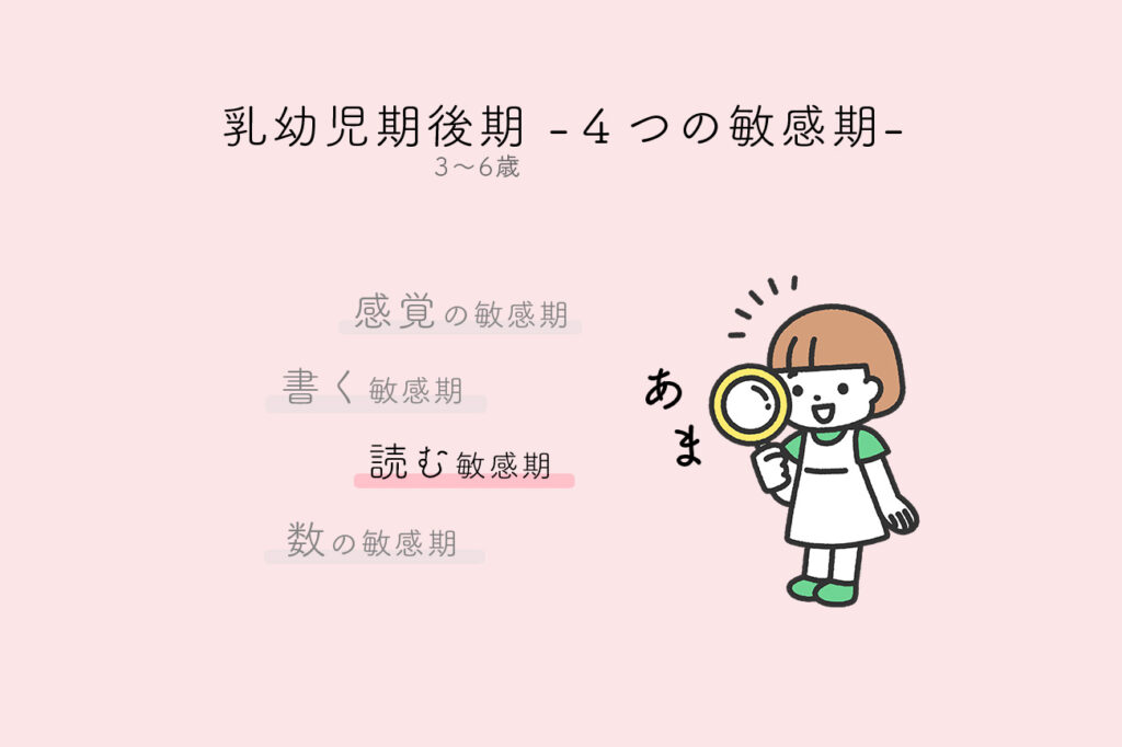 乳幼児期後期の4つの敏感期 - 読む敏感期